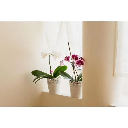 Apartamento Kata's Place